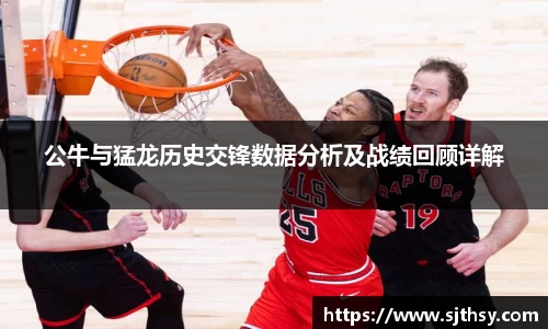 公牛与猛龙历史交锋数据分析及战绩回顾详解